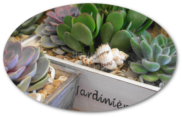 Tunnelmia ja idoita myym&auml;l&auml;st&auml;mme